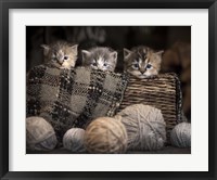 Kittens In A Basket Framed Print