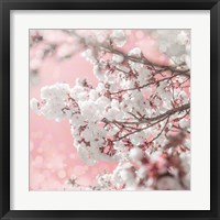 Pinky Blossom 5 Fine Art Print