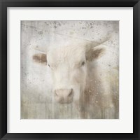 Antique Farm 07 Framed Print