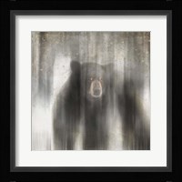 Antique Wildlife bear Fine Art Print
