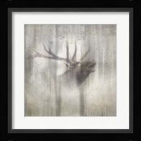 Antique Wildlife Elk 2 Framed Print