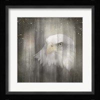 Antique Wildlife Eagle Fine Art Print