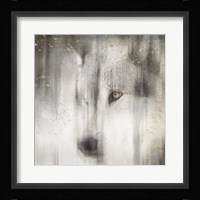 Antique Wildlife Wolf Framed Print