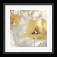 Yellow Tulip 02 Fine Art Print
