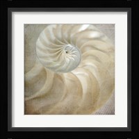 Under the Sea 01 Framed Print