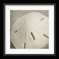 Under the Sea 02 Fine Art Print