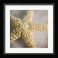 Under the Sea 03 Framed Print