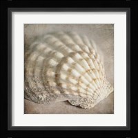 Under the Sea 04 Framed Print