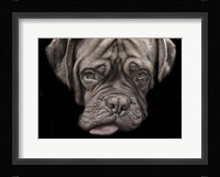 Say What Fine Art Print