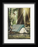 Redwood Camping Fine Art Print