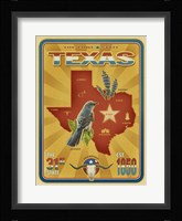 Texas Framed Print