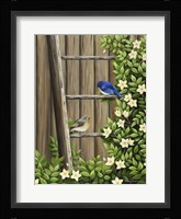 Weathered and Feathered Fine Art Print