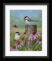 Chickadees and Coneflowers Fine Art Print