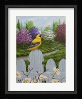 Goldfinch and Daisies Fine Art Print