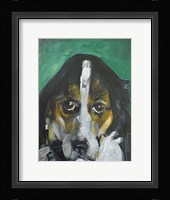 Conan Dog Framed Print