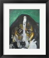Conan Dog Fine Art Print