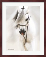 Dream Horse Fine Art Print