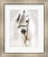 Dream Horse Fine Art Print