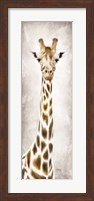 Geri the Giraffe Fine Art Print