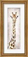 Geri the Giraffe Fine Art Print