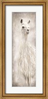 Lulu the Llama Fine Art Print