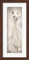 Lulu the Llama Fine Art Print