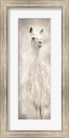 Lulu the Llama Fine Art Print