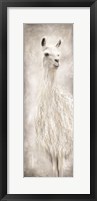 Lulu the Llama Fine Art Print