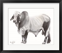 Hey Big Grey Fine Art Print