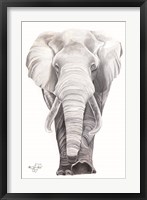 What Big Ears I Have Fine Art Print