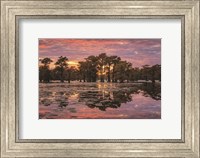 Sundown in the Swamps Fine Art Print