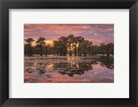 Sundown in the Swamps Fine Art Print