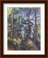 Pines, 1896-99 Fine Art Print