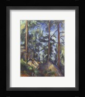 Pines, 1896-99 Framed Print