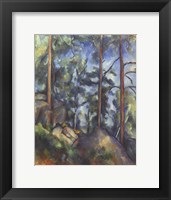Pines, 1896-99 Framed Print