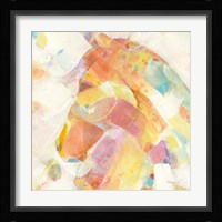 Kaleidoscope Horse II Framed Print