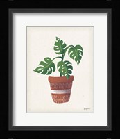 Greenhouse III Framed Print