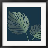 Monstera II Framed Print