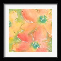 Summer Cosmos II Framed Print