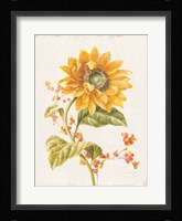 Floursack Autumn I v2 Crop Framed Print