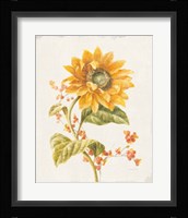 Floursack Autumn I v2 Framed Print