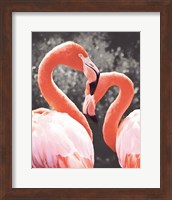 Flamingo II on BW Fine Art Print