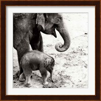 Mother and Daughter Fine Art Print
