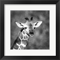 Little Guy Fine Art Print