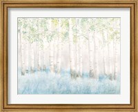 Soft Birches Fine Art Print