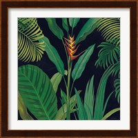 Dramatic Tropical II Fine Art Print