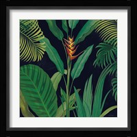 Dramatic Tropical II Framed Print
