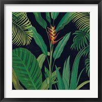Dramatic Tropical II Fine Art Print
