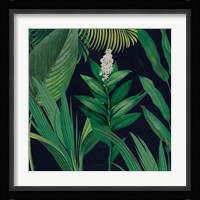 Dramatic Tropical I Framed Print