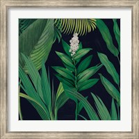 Dramatic Tropical I Fine Art Print